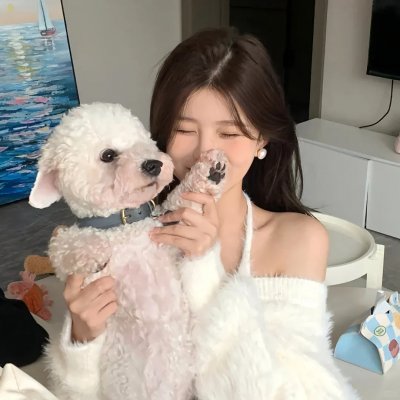 弗雷达 海报